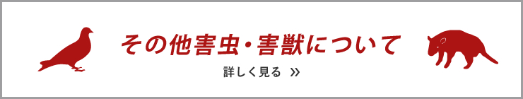 その他害虫・害獣について