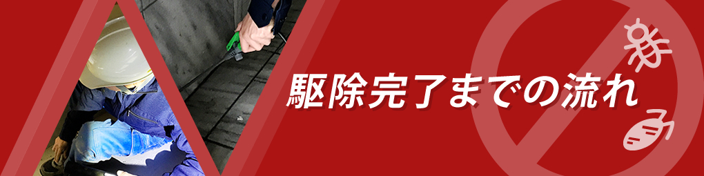 駆除完了までの流れ