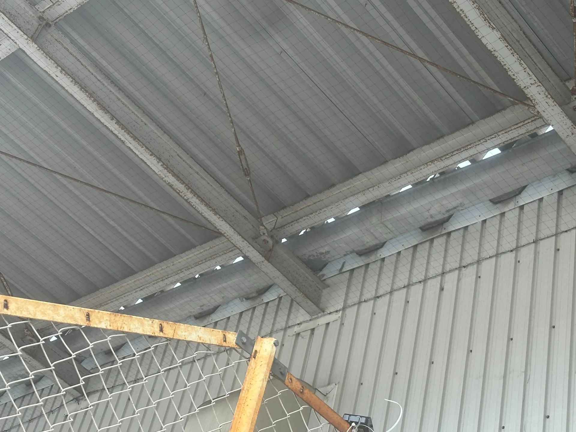 ハト避けネット設置工事